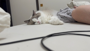 体調崩しました(´;ω;｀)
