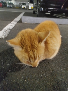 ファッションセンス